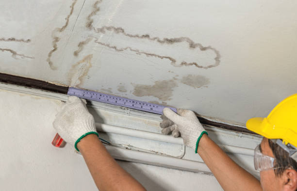 Reliable Structural Drying contractor in New Lothrop, MI by Water Damage Irwin